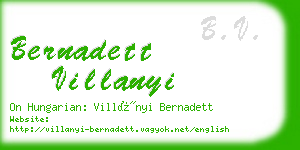 bernadett villanyi business card